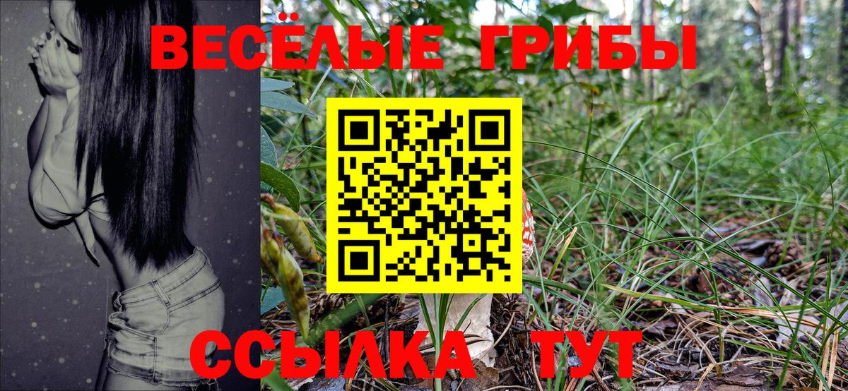 Добрянка  Псилоцибиновые грибы Psilocybine cubensis  Вход с VPN 