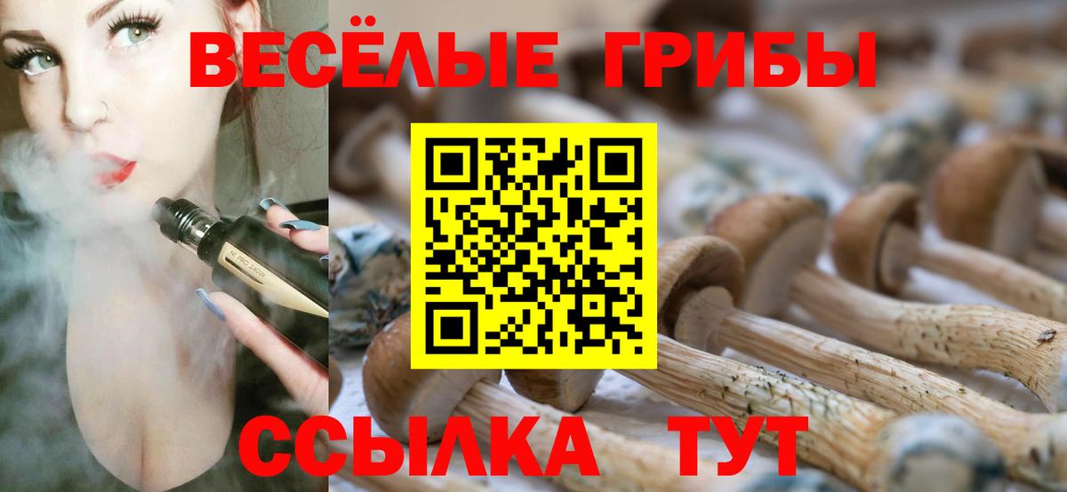 Галлюциногенные грибы мухоморы Добрянка